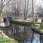 Camino Real Sigueiro