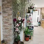 Camino Real Vandrerhjem *