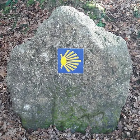 Albergue Camino Real