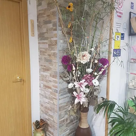 Camino Real Albergue