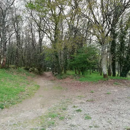 Albergue Camino Real Sigueiro