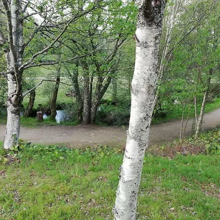 ホステル Camino Real *