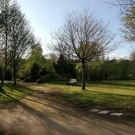 Albergue Camino Real