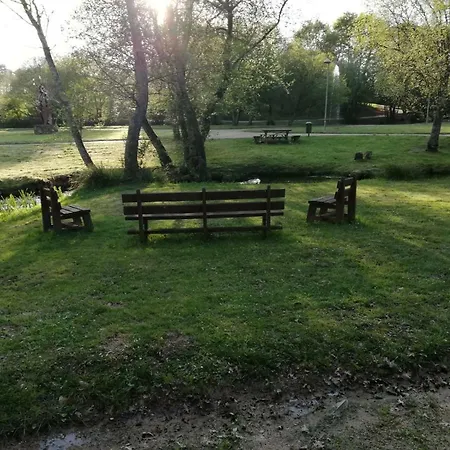 Camino Real * シグエイロ