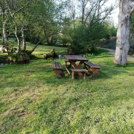 Camino Real * シグエイロ