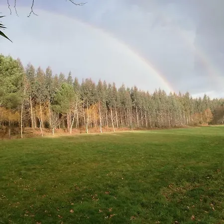 Albergue Camino Real