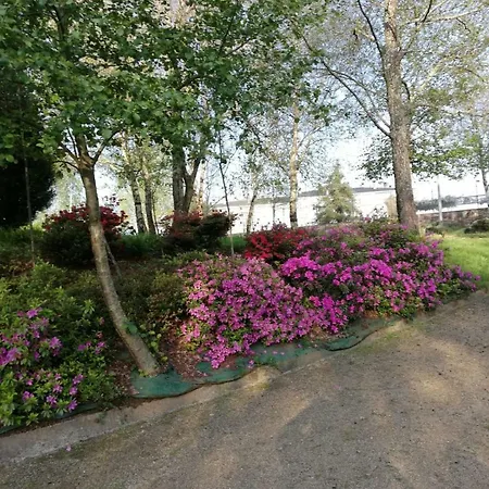 Camino Real Sigueiro