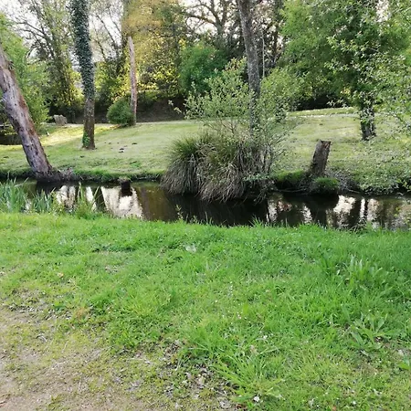 ホステル Camino Real シグエイロ