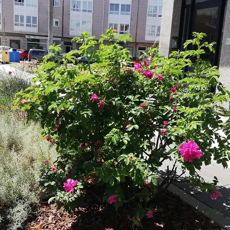 Albergue Camino Real Sigueiro